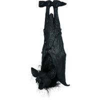 Murciélago colgado de 50 cm