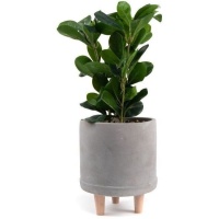 Planta artificial con macetero de cemento con patas de 19 x 15 x 36 cm