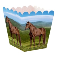 Caja de caballo baja - 12 unidades