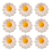 Figuras de azúcar de margaritas blancas de 4,5 cm - Dekora - 48 unidades