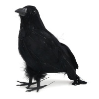 Cuervo negro de 20 x 10 cm