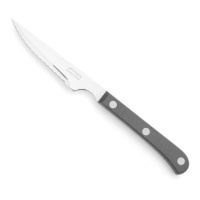 Cuchillo chuletero de 11,5 cm de hoja de polioximetileno negro perlado Steak Basic - Arcos