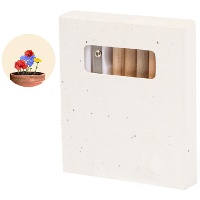 Lápices de colores y sacapuntas en caja con semillas - 6 unidades