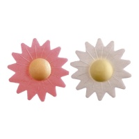 Obleas de flores de margaritas blancas y rosas de 4,5 cm - Dekora - 100 unidades