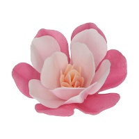Oblea de flores de Magnolia tamaños surtidos - FunCakes - 6 unidades