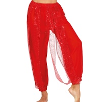Pantalones de danza del vientre con brillantes