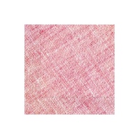 Servilletas de 16,5 x 16,5 cm compostables - 20 unidades