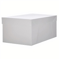 Caja de 40 x 30 x 20 cm para tarta rectangular - Hilarious