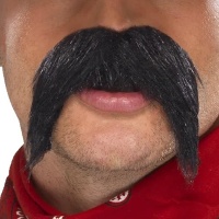 Bigote negro grande y tupido