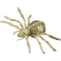 Araña de 24 cm esqueleto