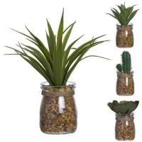 Planta artificial de cactus con macetero de frasco de cristal surtida de 5 x 16 cm