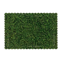 Base para tarta de 30 x 25 x 0,3 cm césped