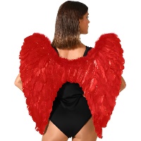Alas de plumas para adulto de 65 x 65 cm