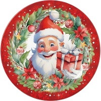 Platos de 23 cm de Papá Noel - 6 unidades