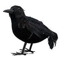 Cuervo de 16 cm negro