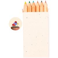 Lápices de colores en caja con semillas - 6 unidades