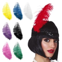 Plumas de Charleston de 30 cm - 12 unidades