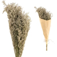 Ramillete decorativo de Love Grass de 70 cm