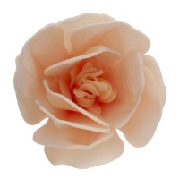 Obleas de flores de magnolia rosa claro de 6,5 cm - Dekora - 6 unidades