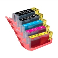Pack cartuchos de tinta comestible PGI-570/571 - Pastkolor - 5 unidades