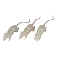 Ratas fosforescentes de 7 cm - 3 unidades