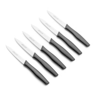 Set de 6 cuchillos de 10 cm de hoja Nova - Arcos