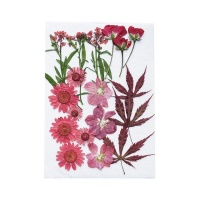 Flores secas prensadas Mix Red - Artemio - 12 unidades