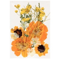 Flores secas prensadas Mix Golden - Artemio - 12 unidades