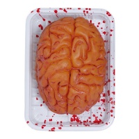 Bandeja con cerebro de 20 x 14 cm