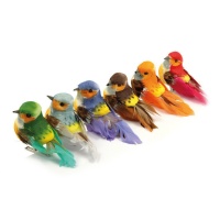Set de pájaros decorados pequeños con pinza - 6 unidades