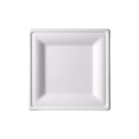 Platos de 20 cm de caña de azúcar cuadrados - 5 unidades