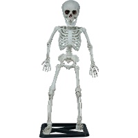 Esqueleto de pie de 55 cm