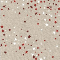 Tela canvas Recycled Xmas Dreams - Katia