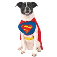 Disfraz de Superman para mascota
