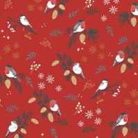 Tela jersey Xmas Birds Time - Katia