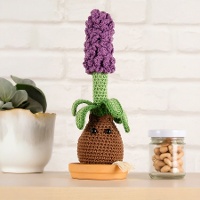 Kit de Amigurumis - Jacinto - DMC