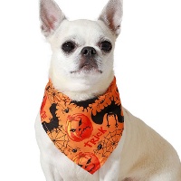 Pañuelo de calabazas de Halloween para mascotas