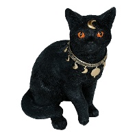 Gato negro espiritual de 28 x 23 cm