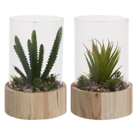 Planta artificial de cactus con macetero de cristal con base de madera surtida de 14 x 20 cm