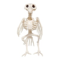 Esqueleto de cuervo de 20 cm