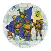 Platos de Tortugas Ninja de 23 cm - 8 unidades