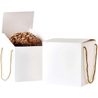 Caja de 21,5 x 21,5 x 21,5 cm blanca para panettone