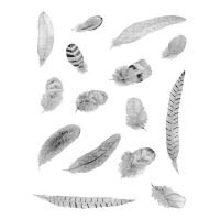 Sellos acrílicos de plumas de 9 x 14 cm - Artemio