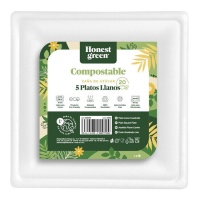 Platos de 20 cm cuadrados de cartón compostable blanco - 5 unidades