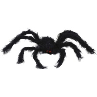 Araña negra peluda de ojos rojos de 50 cm