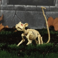 Esqueleto de rata de 20 cm