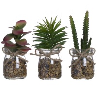 Planta artificial de cactus con macetero de cristal y lazo de yute surtida de 5,5 x 12 cm