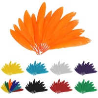 Plumas naturales de colores de 2,5 x 14 cm - 60 unidades