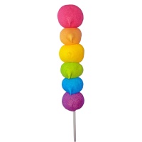 Brocheta de Arcoiris de 50 gr