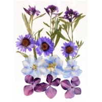 Flores secas prensadas Mix Purple - Artemio - 12 unidades